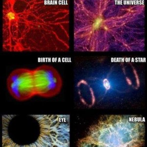Holographic Universe
